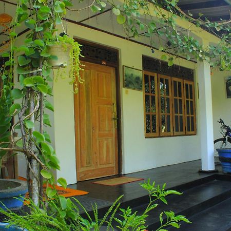 Nature Night Homestay Сигирия Экстерьер фото