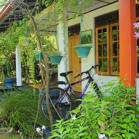 Nature Night Homestay Сигирия Экстерьер фото